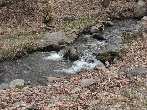 Tourist Attraction «Camelback Mountain Adventures», reviews and photos, 243 Resort Dr, Tannersville, PA 18372, USA