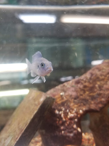 Pet Store «Marineland Pet Center», reviews and photos, 412 Oak Forest Dr, Onalaska, WI 54650, USA