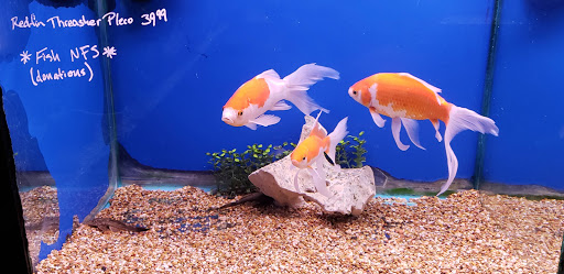 Aquarium «Aquarium World», reviews and photos, 13157 Northwest Fwy, Houston, TX 77040, USA