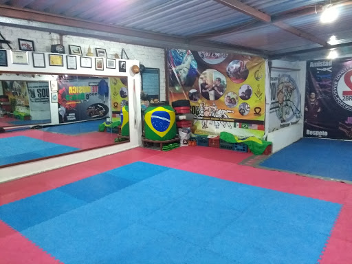 Centro Esportivo Cultural éVida - Casa de CRCA Wing Chun Gung Fu Queretaro y Capoeira éVida