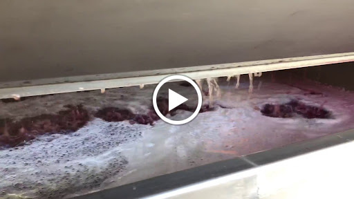 Vineyard «Noboleis Vineyards», reviews and photos, 100 Hemsath Rd, Augusta, MO 63332, USA