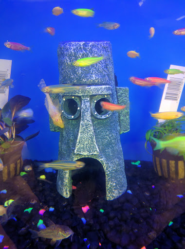 Pet Supply Store «Pet Supplies Plus», reviews and photos, 508 E Stroop Rd, Kettering, OH 45429, USA