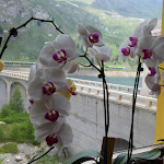 Photo n°17 de l'avis de angela&roberto.t fait le 09/10/2019 à 17:47 sur le  Bar Diga Souvenirs - Fedaia (tn) à Penia