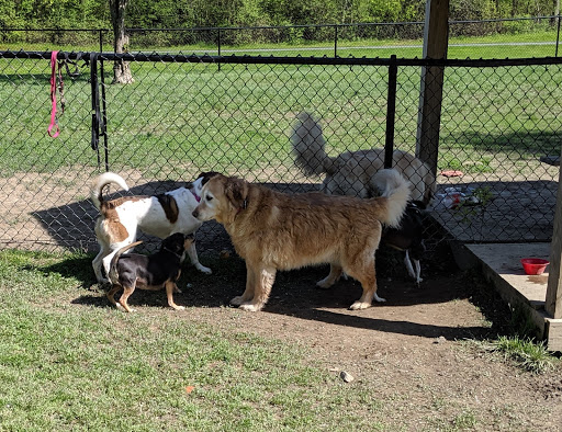 Town of Colonie Dog Park image 2