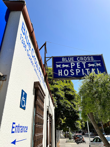 Animal Hospital «Blue Cross Pet Hospital», reviews and photos