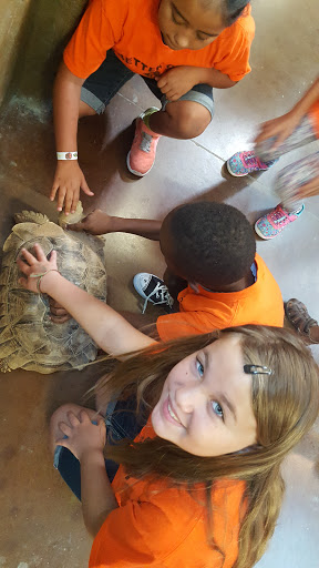 Pet Store «Lost Realms Pets», reviews and photos, 8059 N Cedar Ave, Fresno, CA 93720, USA