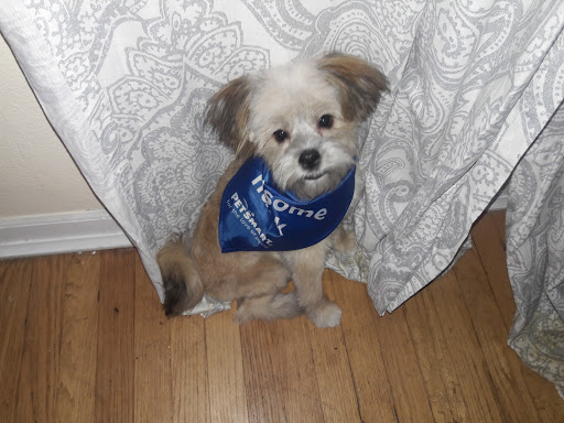 Pet Supply Store «PetSmart», reviews and photos, 320 W Town Square Way, Oak Creek, WI 53154, USA