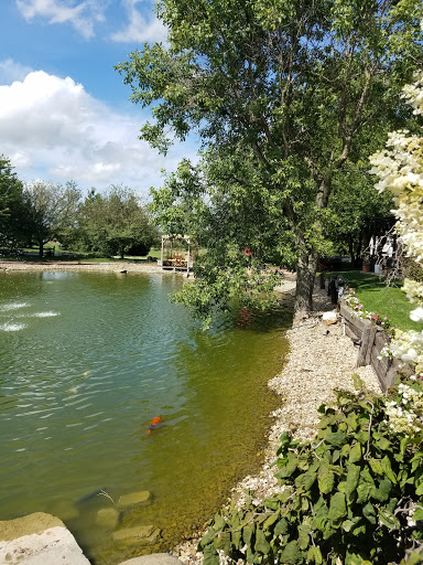 Fish Farm «Kloubec Koi», reviews and photos, 1375 Baxter Ave NW, Amana, IA 52203, USA