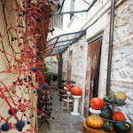 Photo n°1 de l'avis de Fabio. fait le 15/11/2022 à 09:20 sur le  Terrae Madre à Pietrasecca