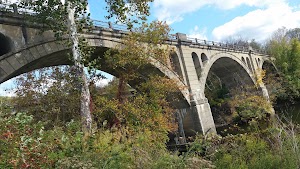 Angelica Creek Park - photo 11