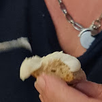 Photo n°4 de l'avis de Rui.e fait le 06/06/2022 à 22:43 sur le  Quinta Fonte dos namorados à Gouveia