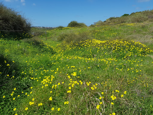 Harutsim Reserve