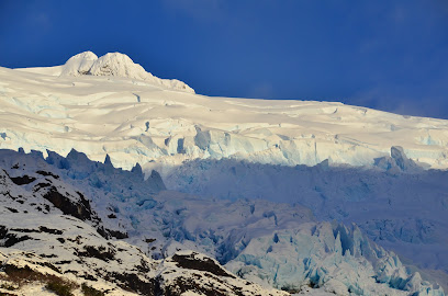 AMMONITE - Patagonia and Antartic Adventures