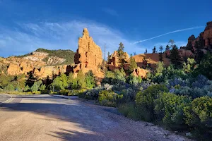 Dixie National Forest image