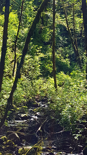 Park «MacLeay Park Entrance», reviews and photos, 2960 NW Upshur St, Portland, OR 97210, USA