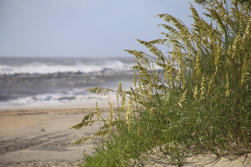 Vacation Home Rental Agency «Surf or Sound Realty», reviews and photos, 26204 Rampart St, Salvo, NC 27972, USA