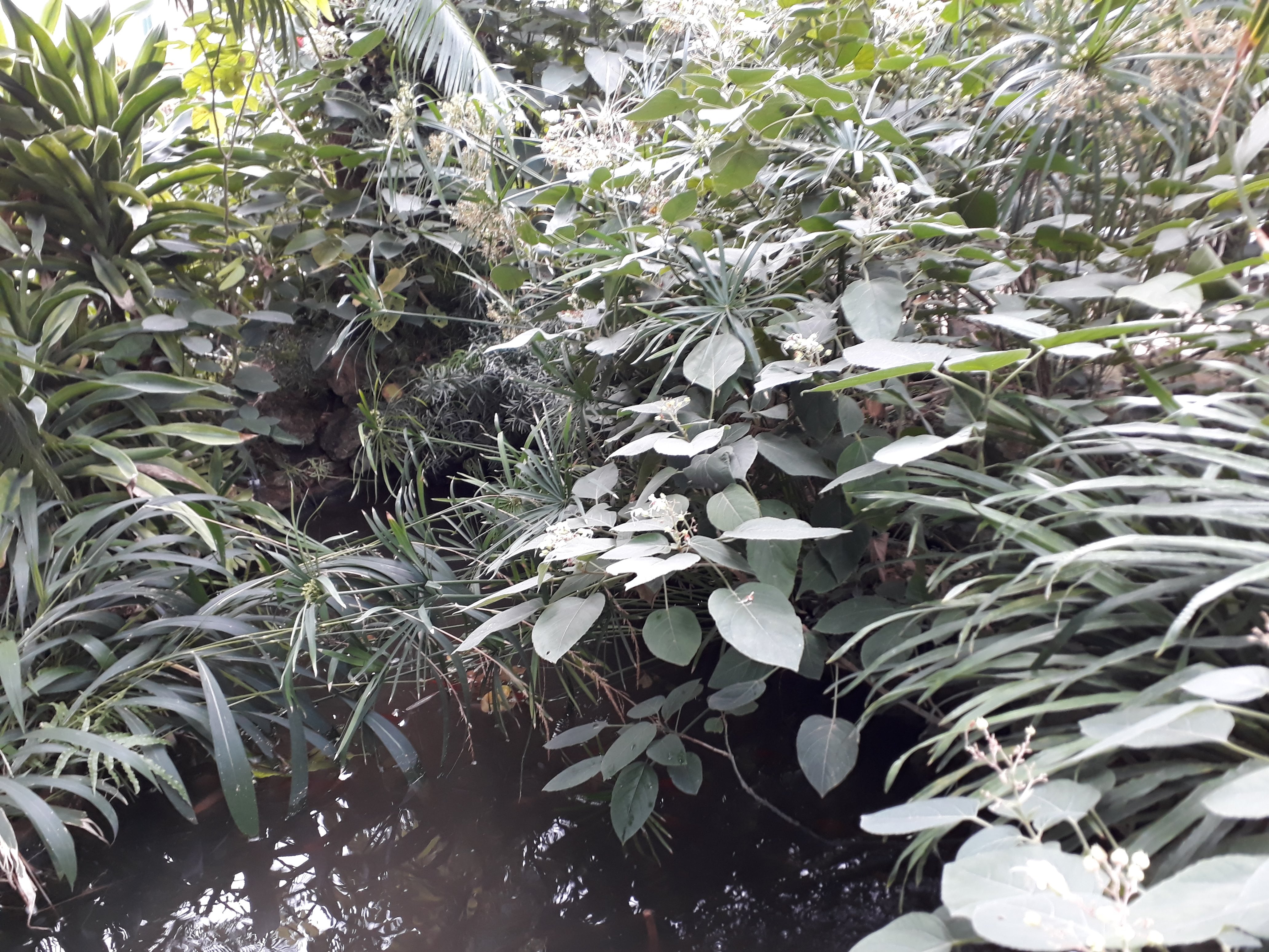 Photo n° 20 de l'avis de Julien.a fait le 12/04/2019 à 17:32