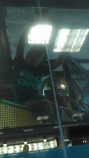 Fast Food Restaurant «Chick-fil-A», reviews and photos, 2585 E Hwy 50, Clermont, FL 34711, USA