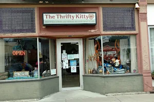 Thrifty Kitty image