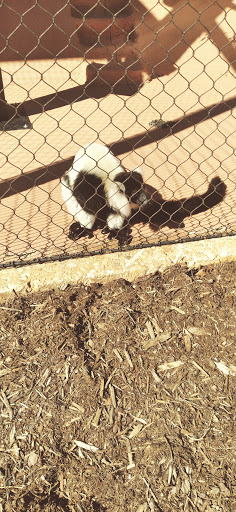 Park «Cleveland Park», reviews and photos, Cleveland Park Drive & East Washington, Greenville, SC 29601, USA