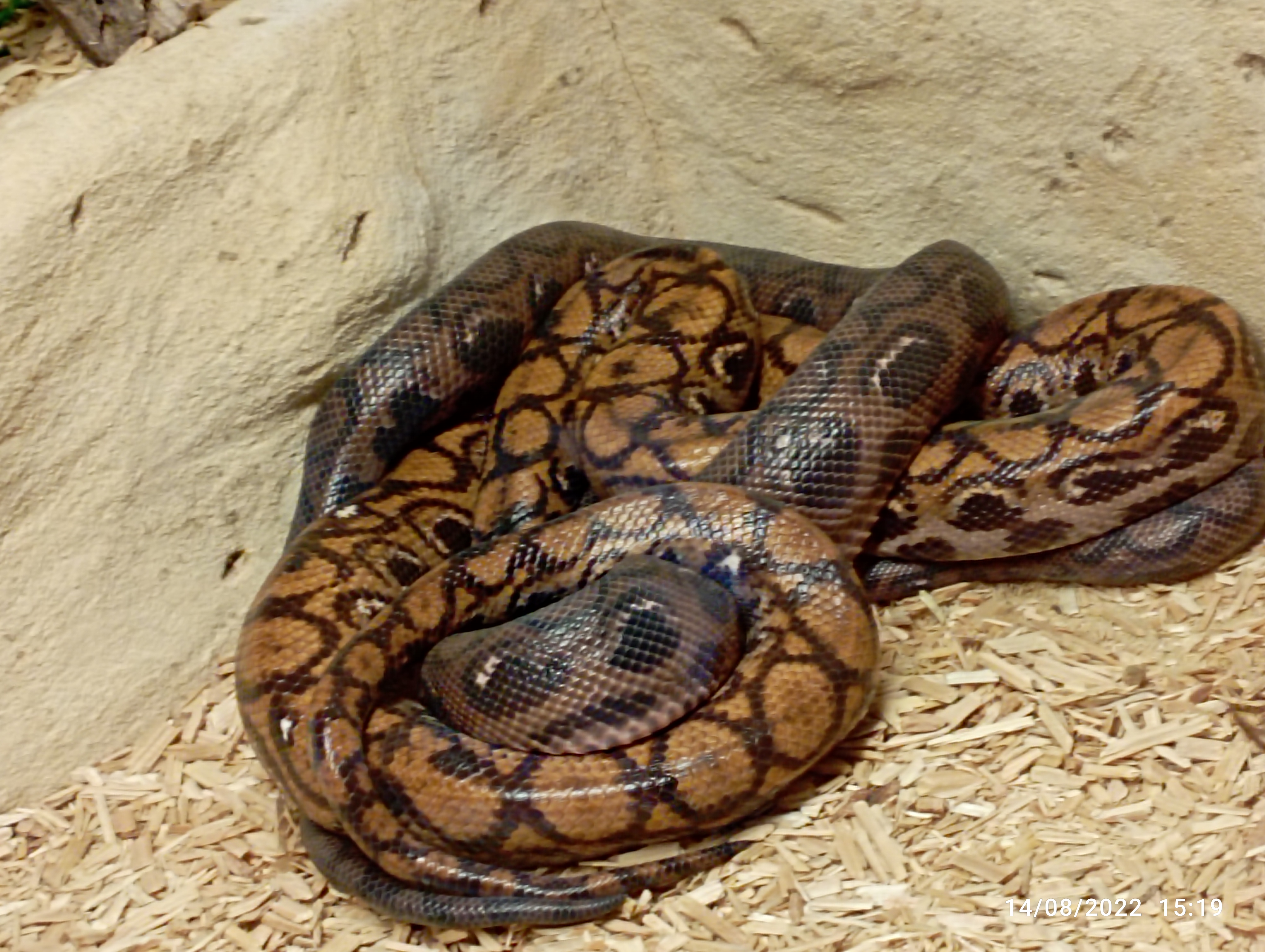 Photo n° 2 de l'avis de Frédéric.a fait le 15/08/2022 à 11:56