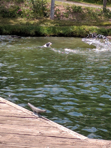 Park «Luther Burbank Park», reviews and photos, 2040 84th Ave SE, Mercer Island, WA 98040, USA