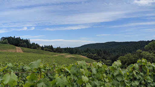 Winery «Kramer Vineyards», reviews and photos, 26830 NW Olson Rd, Gaston, OR 97119, USA