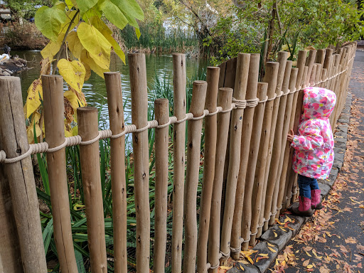 Zoo «Sacramento Zoo», reviews and photos, 3930 W Land Park Dr, Sacramento, CA 95822, USA