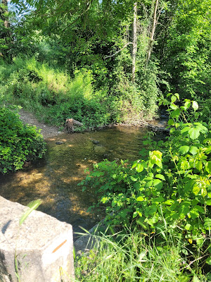 Le Girondan à Saint-Romain-de-Jalionas