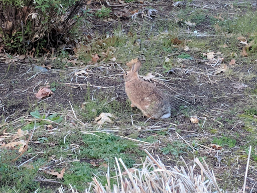 Community Center «Luepke Senior Center and Marshall Center», reviews and photos, 1009 E McLoughlin Blvd, Vancouver, WA 98663, USA