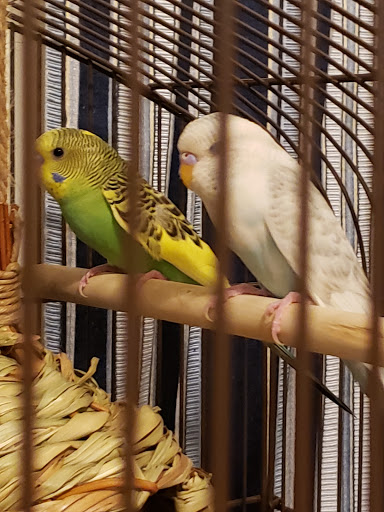 Pet Supply Store «PetSmart», reviews and photos, 5050 SE 14th St, Des Moines, IA 50320, USA