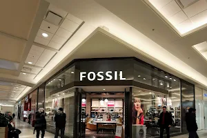 Fossil Store image