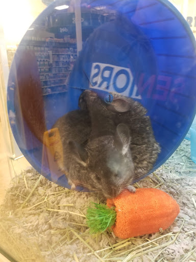 Pet Supply Store «PetSmart», reviews and photos, 11945 Central Ave, Chino, CA 91710, USA