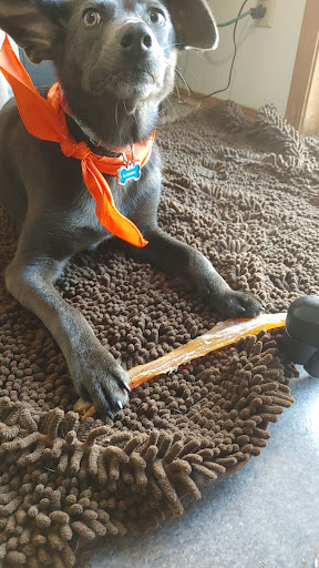 Pet Supply Store «Pacific Pets», reviews and photos, 528 SE Baseline St, Hillsboro, OR 97123, USA