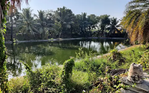 Ranga Reddy Gardens Pond image