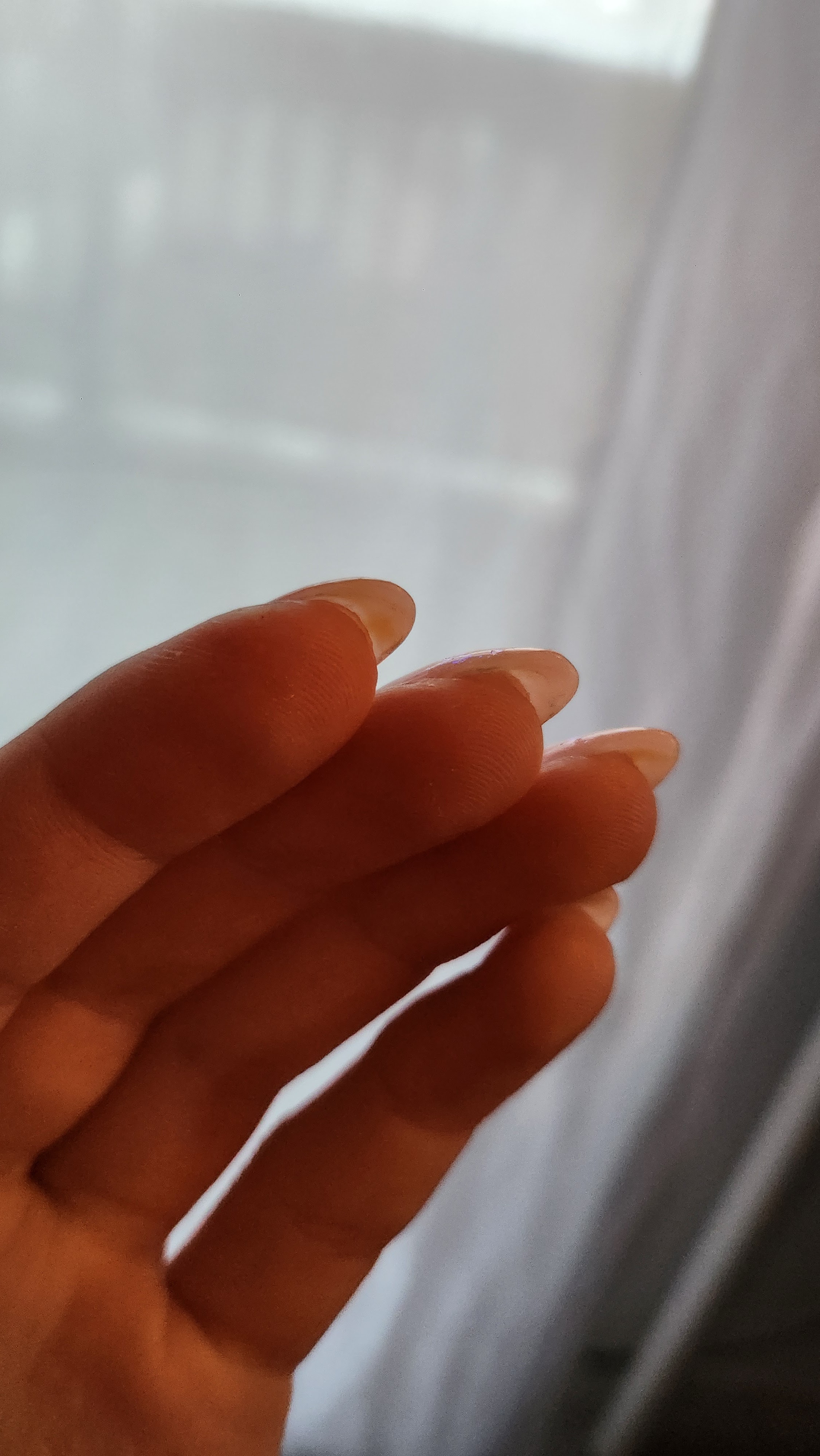 Photo n° 2 de l'avis de Léa.o fait le 27/02/2024 à 11:14