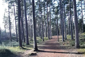 Kronoskogens naturreservat image