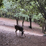 Photo n°2 de l'avis de Emanuele.o fait le 01/11/2021 à 21:13 sur le  Donnortei à Fonni