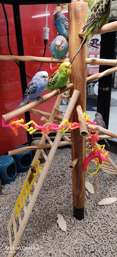 Pet Supply Store «Petco Animal Supplies», reviews and photos, 4209 Wheaton Way, Bremerton, WA 98310, USA