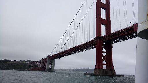 Home Improvement Store «Cole Hardware», reviews and photos, 2254 Polk St, San Francisco, CA 94109, USA