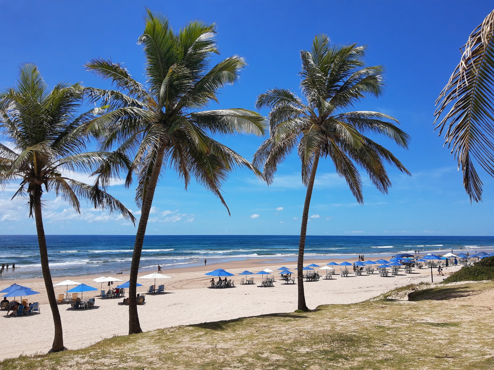 Praia de Ipitanga'in fotoğrafı çok temiz temizlik seviyesi ile