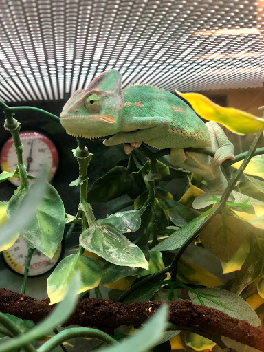 Pet Supply Store «Petco Animal Supplies», reviews and photos, 3637 2700 W, West Valley City, UT 84119, USA