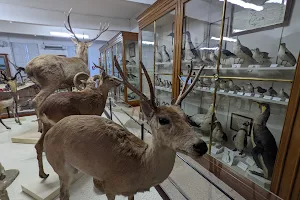 Muséum d'Histoire Naturelle Victor Brun image