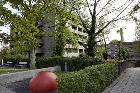 Rezensionen über Gesundheitszentrum für das Alter Bullinger-Hardau in Zürich - Pflegeheim