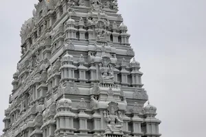 Hindu Temple of Minnesota image