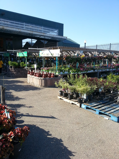 Home Improvement Store «Menards», reviews and photos, 320 Tyler Rd S, Red Wing, MN 55066, USA