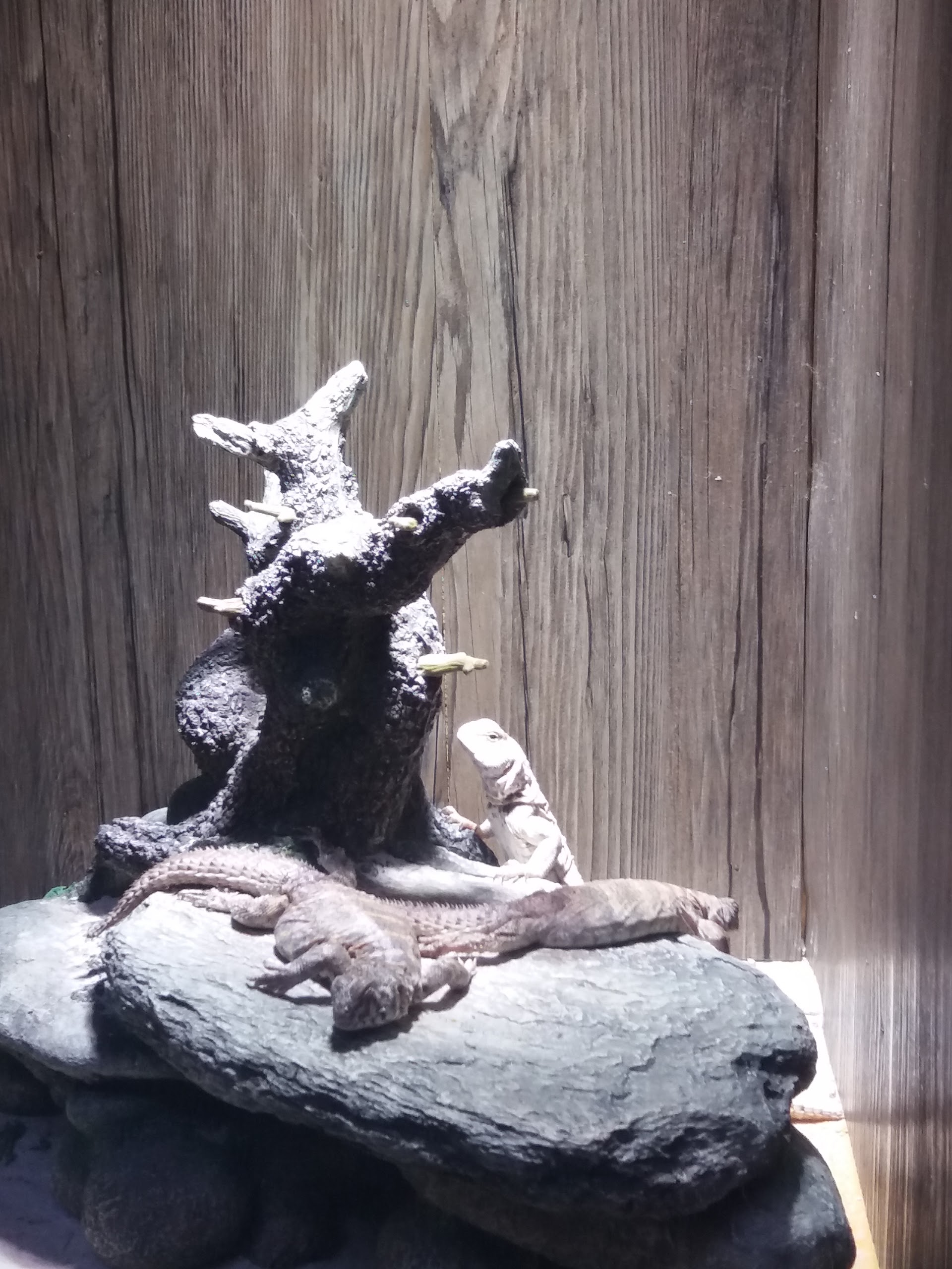 Photo n° 6 de l'avis de Damien.i fait le 21/08/2017 à 19:35