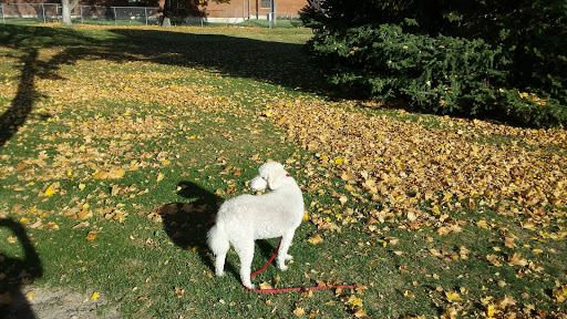 Amphitheater «American Fork Amphitheater», reviews and photos