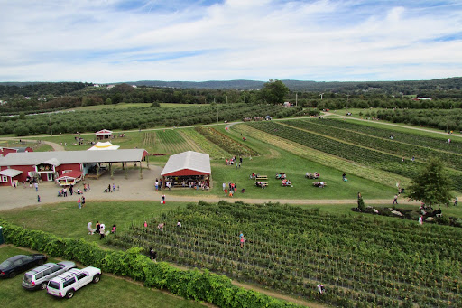 Orchard «Barton Orchards - Noxon Road Store Open Year Round - The Farm is CLOSED for the Season.», reviews and photos, 63 Apple Tree Ln, Poughquag, NY 12570, USA