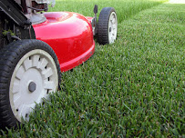 Rooster's Landscaping & Services, LLC - Photo 5 - Car repair in , South Lyon